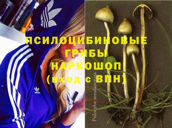 молекула духа Алзамай