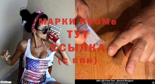 молекула духа Алзамай