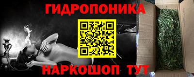 прущие грибы Гусь-Хрустальный