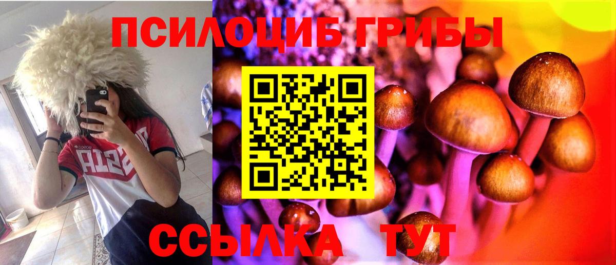 Псилоцибиновые грибы GOLDEN TEACHER Похвистнево