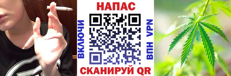 где купить наркотик  Похвистнево  Канабис сатива 
